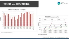 Trigo: El precio sigue subiendo ¿hasta cuándo? ; con Lorena D´Angelo - Clínica de Granos