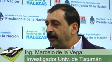 TV: ¿Cómo manejar las malezas difíciles con costos razonables?; con M. de la Vega