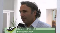 TV: ¿Como ve la situación del Campo en 2018 el Presidente de CREA?; con Francisco Lugano