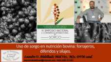El rol del Sorgo en nutrición bovina: forrajeros, diferidos y silajes; con Leandro Abdelhadi