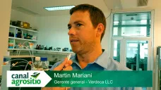 Cómo son las sojas tolerantes a sequía y salinidad; con M. Mariani - Verdeca