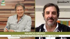 Brangus, Braford y Brahman: el boom ganadero del NEA y NOA llega a Corrientes; con M. Groppo - cabañero