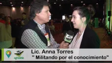 TV: 