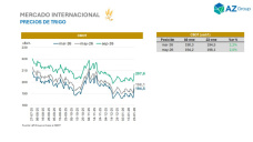 Trigo en alza: el foco del mercado se desplaza hacia la campaña 26/27 del norte; con Clara Treachi - Clínica de Granos