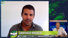 Nueva línea de maíces prolíficos, con amplia adaptación, y alto rinde; con Santiago Amadeo - QSeeds