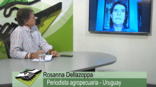 TV: 