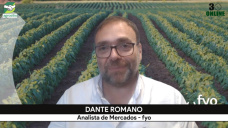 Granos y precios: ¿vender en guerra o esperar que termine?; con Dante Romano - FyO
