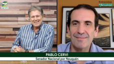 Cómo ve la competitividad agropecuaria con Milei, el Senador, agrónomo, y productor Pablo Cervi
