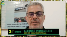 La Ganadería rompe récords: Vc a 1400 dol, invernada $6200, Nov. 3 dol/kg, y campos +15%; con A. Monasterio - consignatario