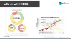 Maz: Mejora externa de precios ayud al cereal argentino; con Lorena DAngelo - Clnica de Granos