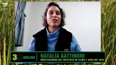 Qu tan intenso en lluvias ser El Nio segn los modelos ENSO?; con Natalia Gattinoni - INTA Castelar