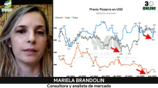 Precios bajo presión y oportunidades puntuales: claves para vender Granos: con Mariela Brandolin - analista