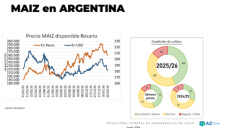 Se viene la cosecha 25/26 y el precio del Maíz lo siente…; con Lorena D´ Angelo - Clínica de Granos