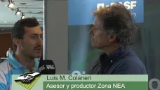 TV: 