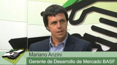 TV: ¿Cómo controlar malezas en post siembra de Soja para no perder rinde?; con Ing. M. Anzini