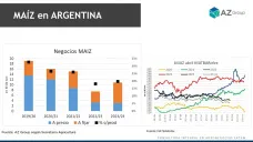 Maíz: Aumentan los negocios de maíz luego de las lluvias; con Lorena D´Angelo - Clínica de Granos