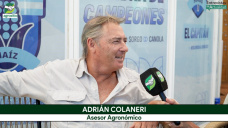 Tras la falta de lluvias, Maíz y Soja recuperan expectativas de muy buenos rinde; con Adrián Colaneri - agrónomo
