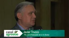 La producción ovina 
