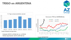 Trigo: Mercado local afectado por la política, con Lorena D´Angelo - Clínica de Granos