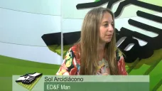 TV: 