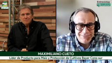 Qué híbridos de Maíz eligen los Productores y cómo cerrar la brecha del 40% de rinde; con M. Cueto - Dekalb