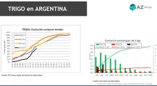 Trigo: Queda mucho sin vender; con Lorena D´Angelo - Clínica de Granos