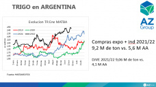 Trigo: Avanza la cosecha en Argentina con buenos precios, con Lorena D´Angelo - Clínica de Granos