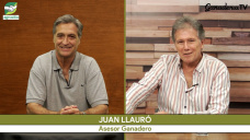 Ganadería A FONDO: buenas preñeces, destetes pesados, retención de vientres, y gordo firme; con Juan Llauró - administrador