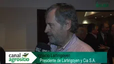 TV: 
