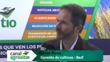 TV: 
