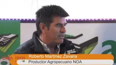 TV: 