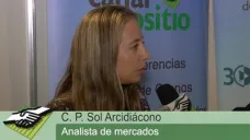 TV: 