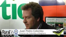 TV: 