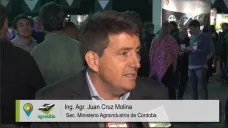 TV: 