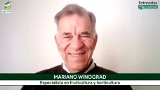 Mariano Winograd de agrónomo 