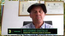 El Novillo Super-feedlot de 550 Kg y las categorías ganadoras 2025; con Belisario Castillo