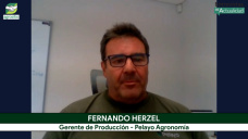 Más rinde y contratos más largos: la nueva lógica del Arrendamiento agrícola; con F. Herzel - agrónomo