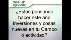 TV: 