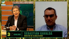 Qu le conviene al productor vender  cubrir con precio sus Granos?; con Sebas Gavald - Globaltecnos