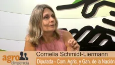 AgroDir. B1: 