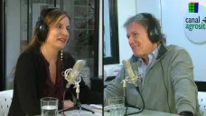 ¿Paz liberal o tregua?: Ravier vocero, Milei lo perdona, y Adorni sigue con 64% imagen negativa