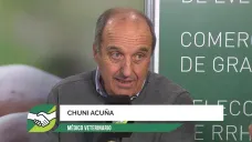 ¿Por qué se enojó el MV Chuni Acuña con la inyección que hace producir más carne? 