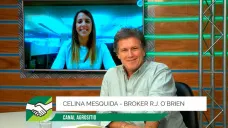 ¿Qué influencia puede tener en la Soja argentina el fin de la guerra Trump - China?; con Celina Mesquida