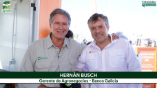 CGG - Crédito Ganadero Garantizado: cuando lo digital permite financiar la producción; con H. Busch - Galicia