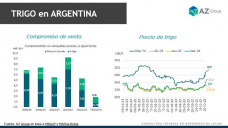 Trigo: Cunto vamos a producir de trigo en Argentina?, con Catalina Ferrari - Clnica de Granos