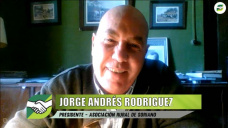 La estrategia ganadera exportadora uruguaya y el retorno del ovino; con J. Rodrguez Bidegain  