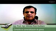 TV: ¿Cómo nos impacta el Reporte Trimestral del USDA en los mercados?; con A. Ruíz Guiñazú