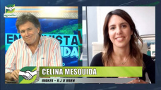 Cmo pega en las decisiones de la gruesa el Informe del USDA; con Celina Mesquida - R.J. OBrien
