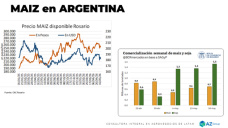 Maiz: Con 70 M de ton de maíz 25/26 ¿Qué pasará con los precios?; con Lorena D´ Angelo - Clínica de Granos