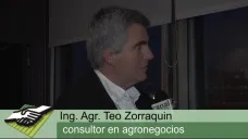 TV: 